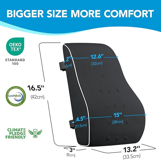 Back Support Pillow